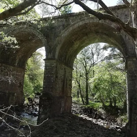 Bonny Bits 앨스턴