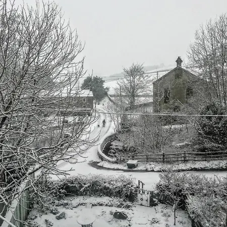 Bonny Bits 펜션 앨스턴