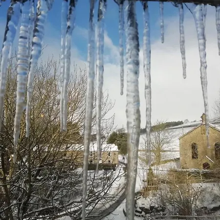 Bonny Bits 앨스턴