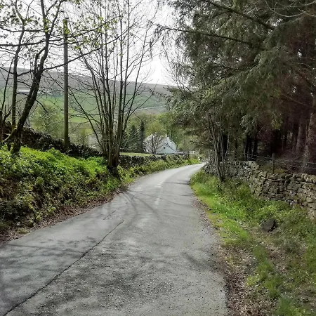 Bonny Bits Alston